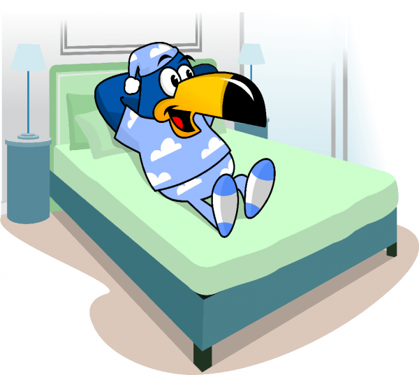 Tucán Cama . Los Viajes de Domi