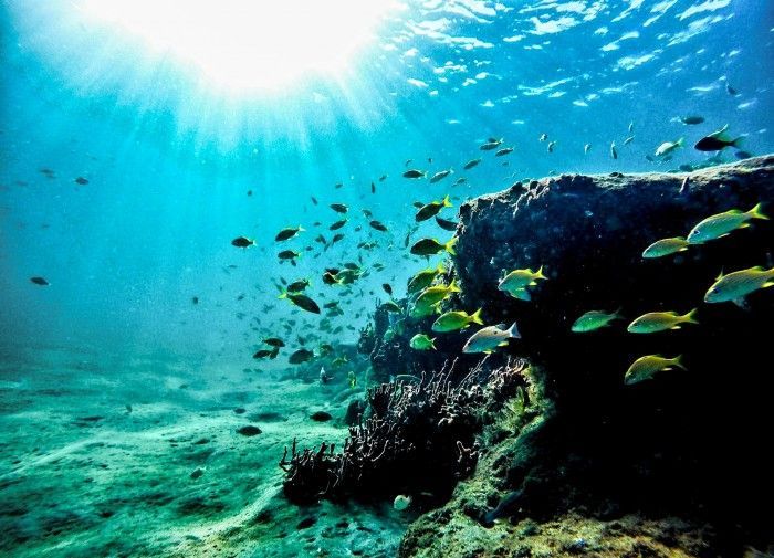 Excursion en kayak et plongée avec tuba.  Meilleures excursions à Ibiza