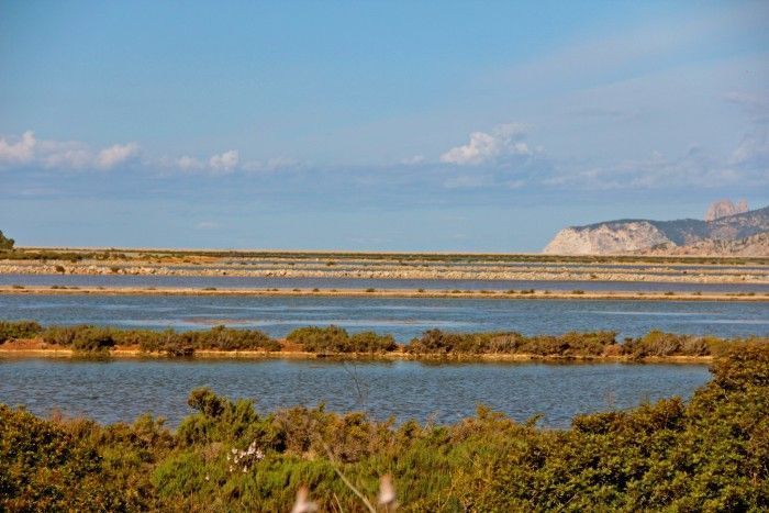 Ses Salines. Que hacer en Ibiza