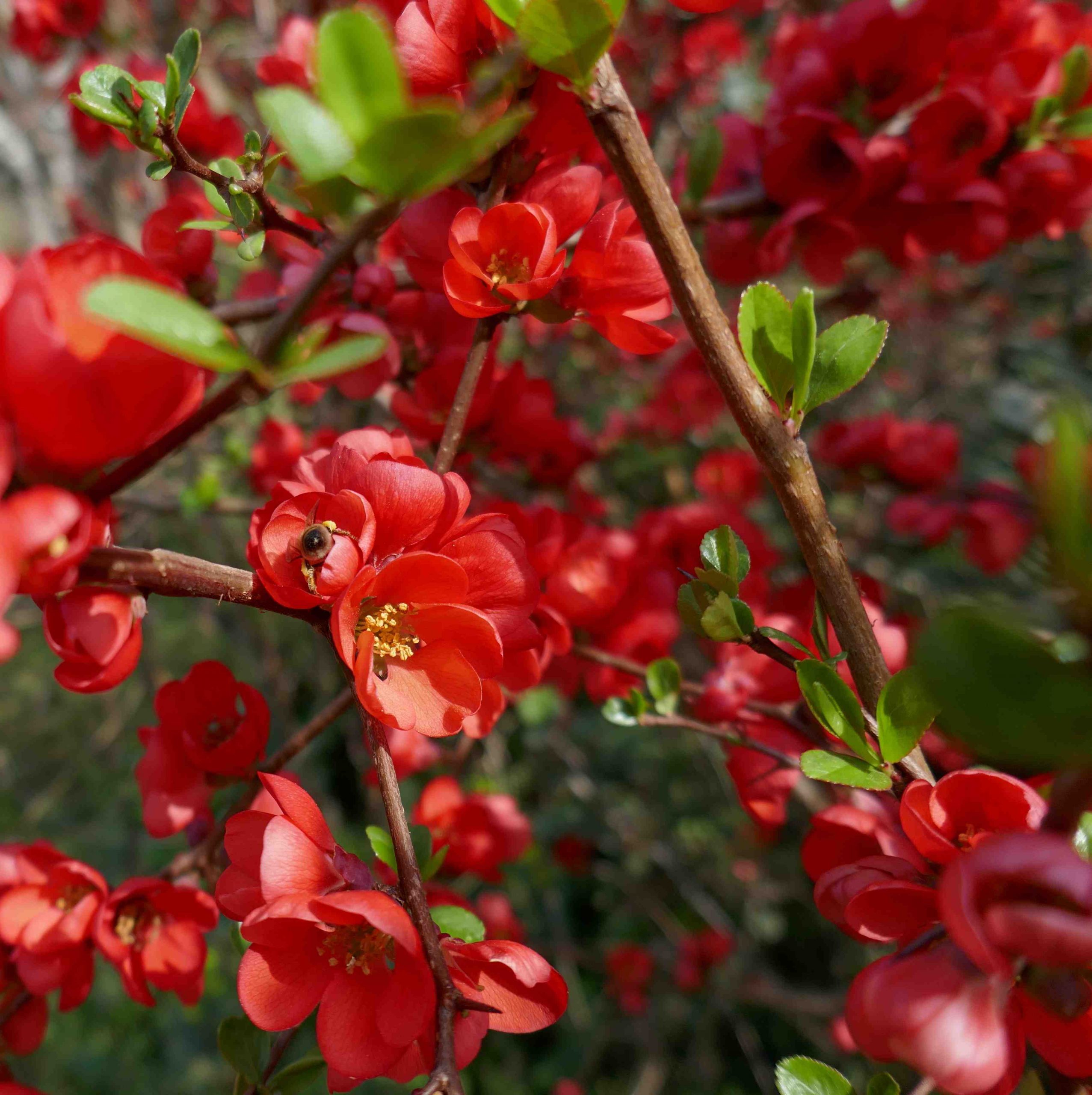 Où Fait-il le plus chaud en avril en Europe ?