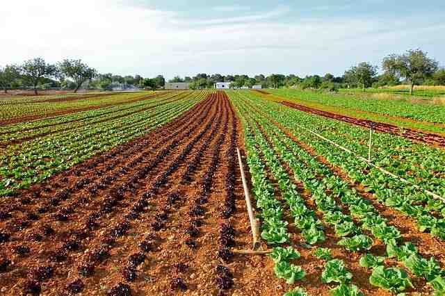 Où aller à Ibiza pour être au calme ?