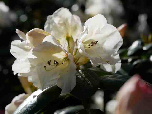 Où aller en avril pour se baigner ?