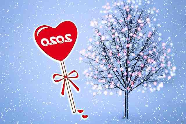 Où aller pour les vacances de Noël ?