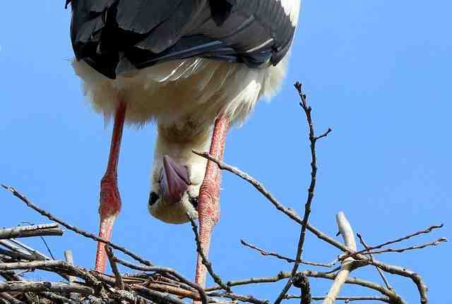 Où on peut se baigner en avril ?
