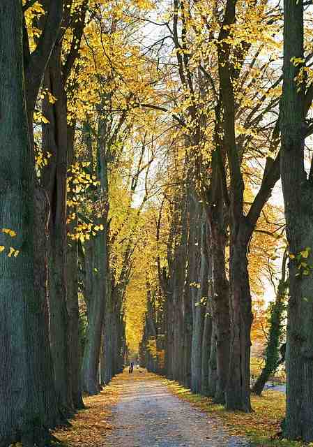 Où partir au soleil en novembre 2020 ?