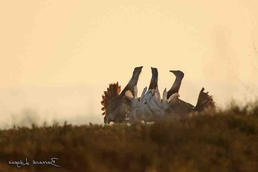 Où partir en Avril-mai en Europe ?