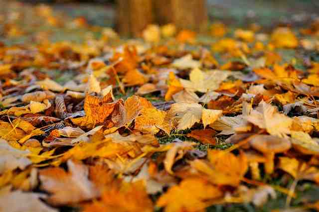 Où partir en Europe au mois de novembre pour avoir du soleil ?