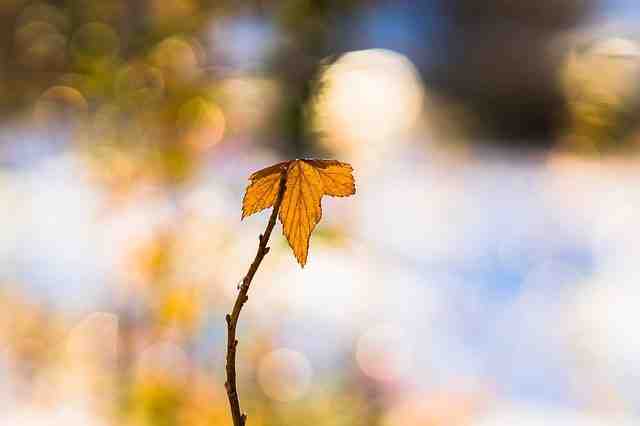 Où partir en Europe au mois de novembre pour avoir du soleil ?