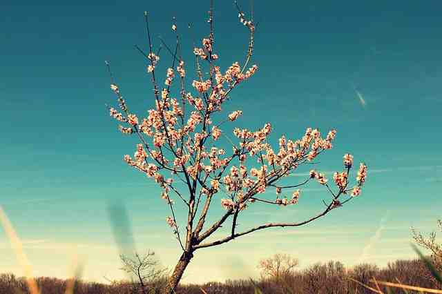 Où partir en Europe en avril pour avoir du soleil ?