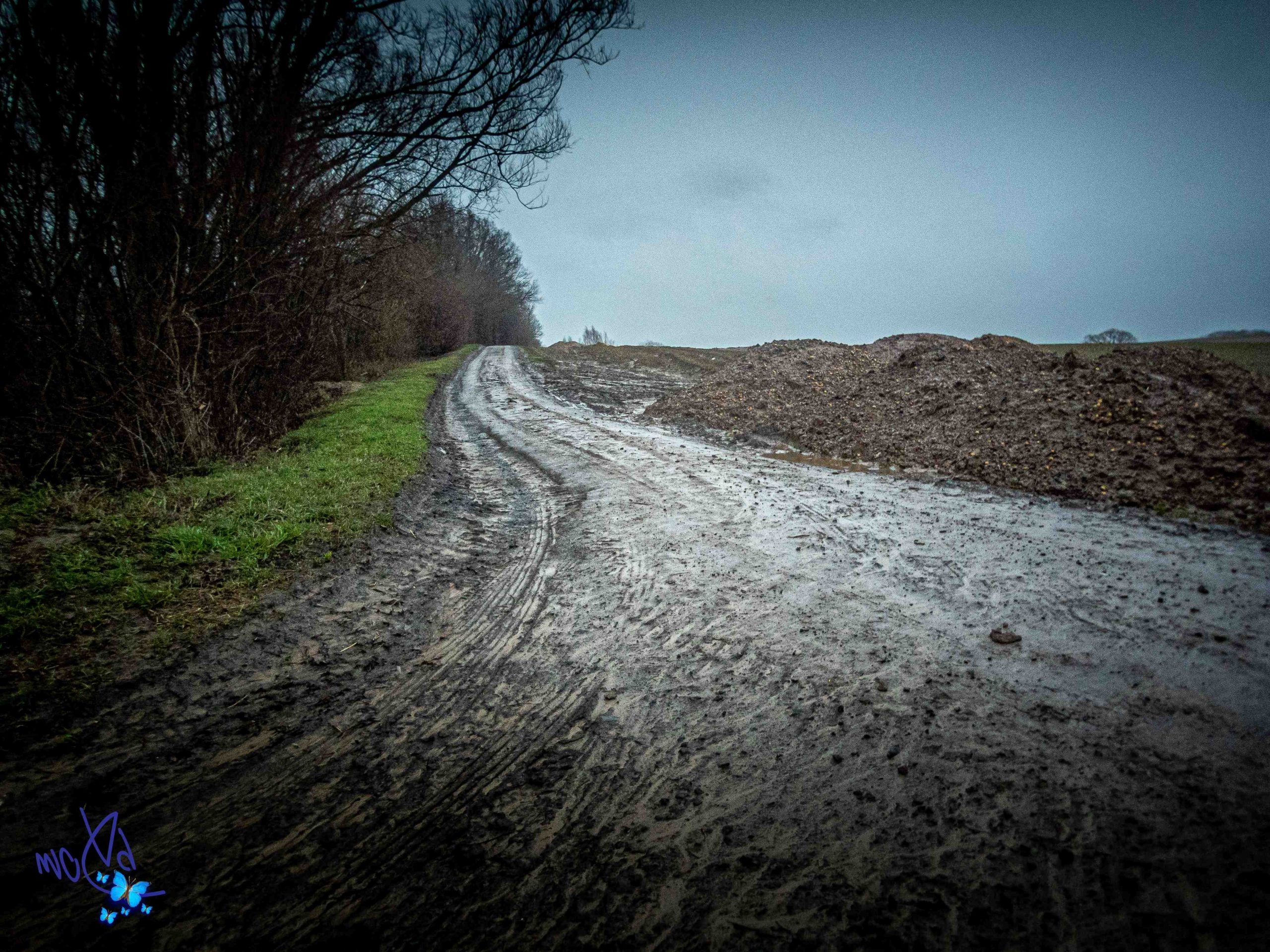 Où partir en Europe en avril pour se baigner ?