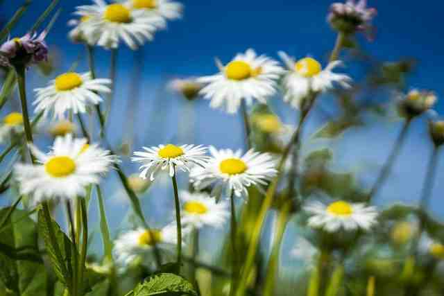 Où partir en Europe pour pouvoir se baigner en avril ?