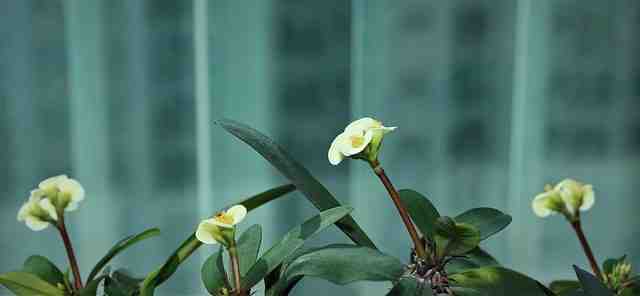 Où partir en avril pour 1 semaine ?