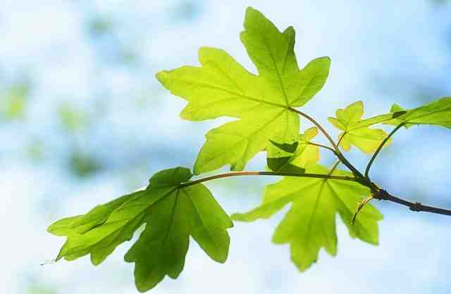 Où partir en décembre pour 4 jours ?