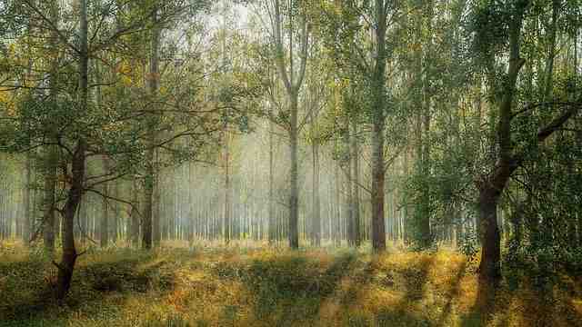 Où partir en décembre soleil pas cher ?