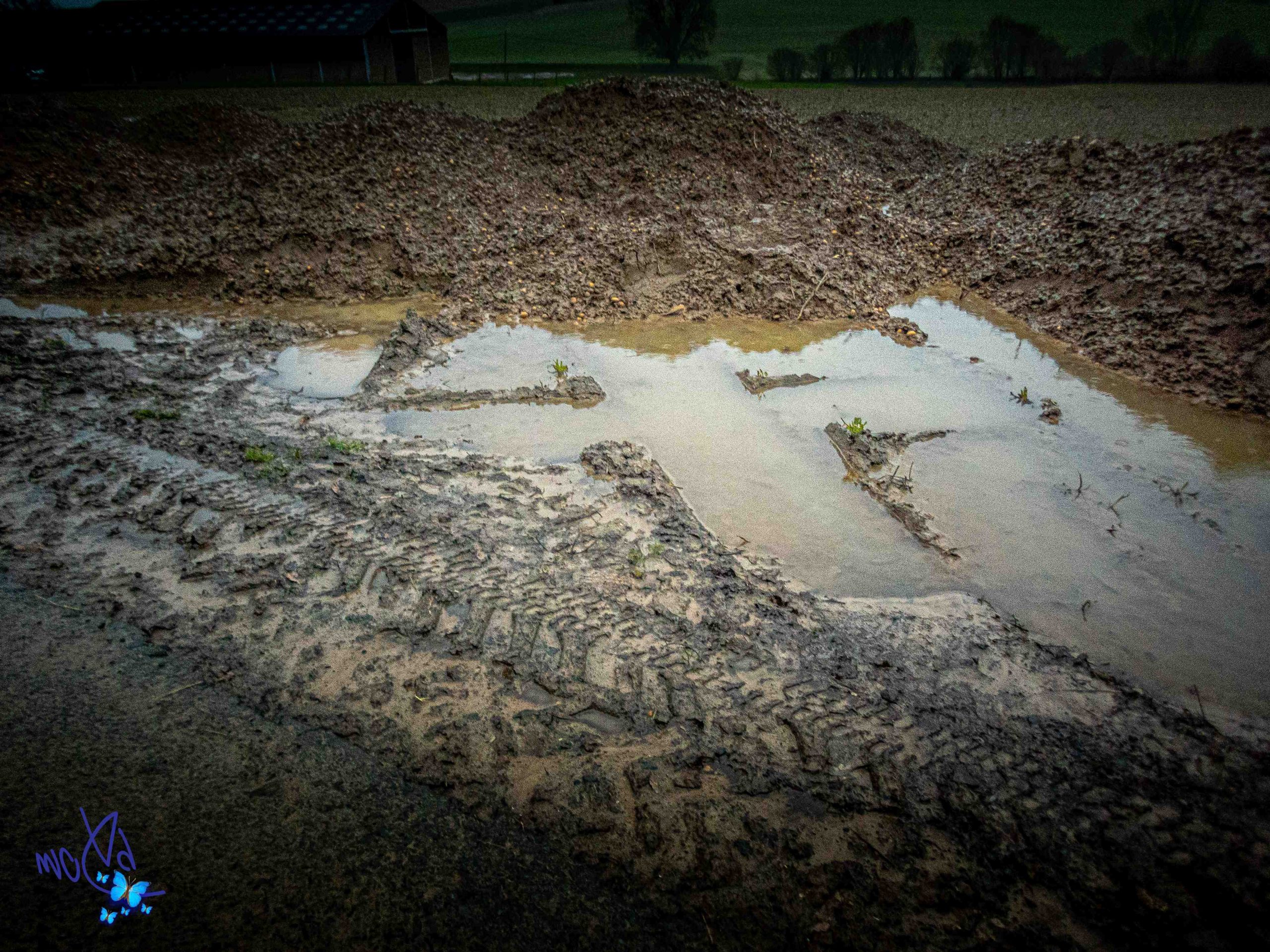 Où partir en mai pour avoir du soleil ?