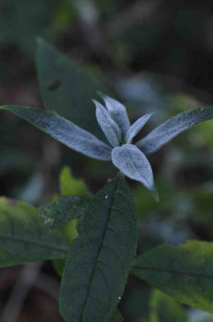 Où partir en novembre 2020 ?