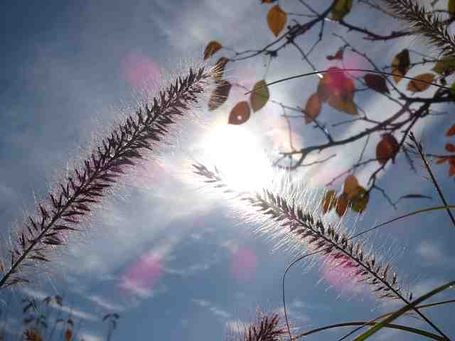 Où partir en novembre Soleil et chaleur ?