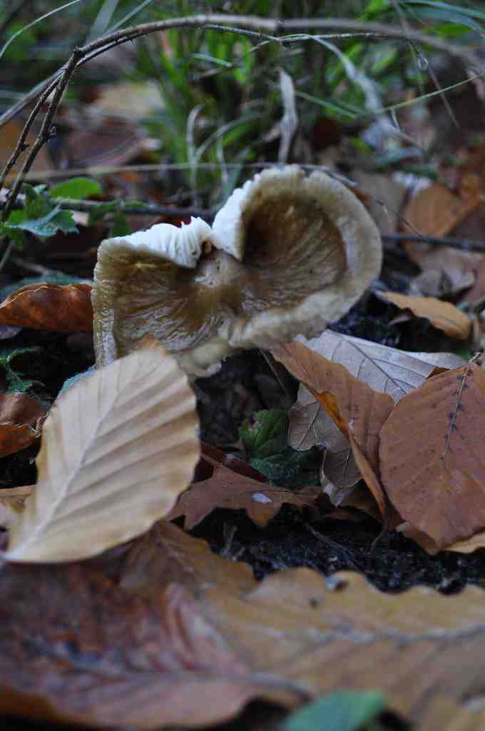Où partir en novembre au soleil pas cher ?