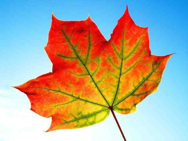 Où partir en novembre au soleil pas cher ?