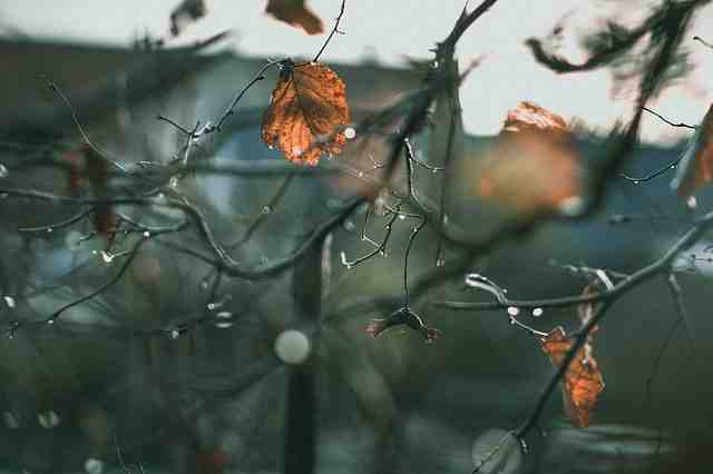 Où partir pas cher en novembre au soleil ?