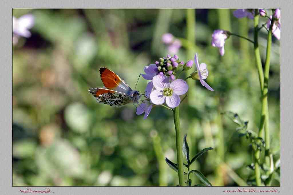 Où partir pour le Nouvel An 2020 au soleil ?