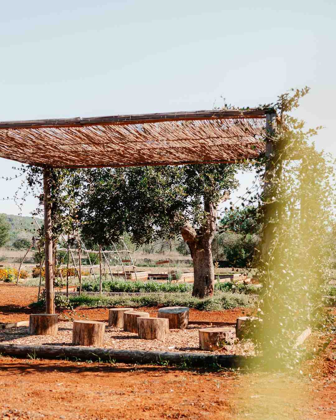 Où se situe l'île d'Ibiza ?