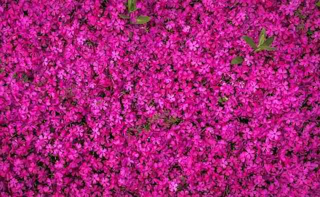 Quel est la meilleure île des Baléares ?