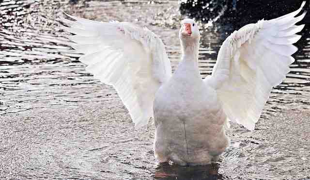 Quel est l'endroit le plus paradisiaque au monde ?