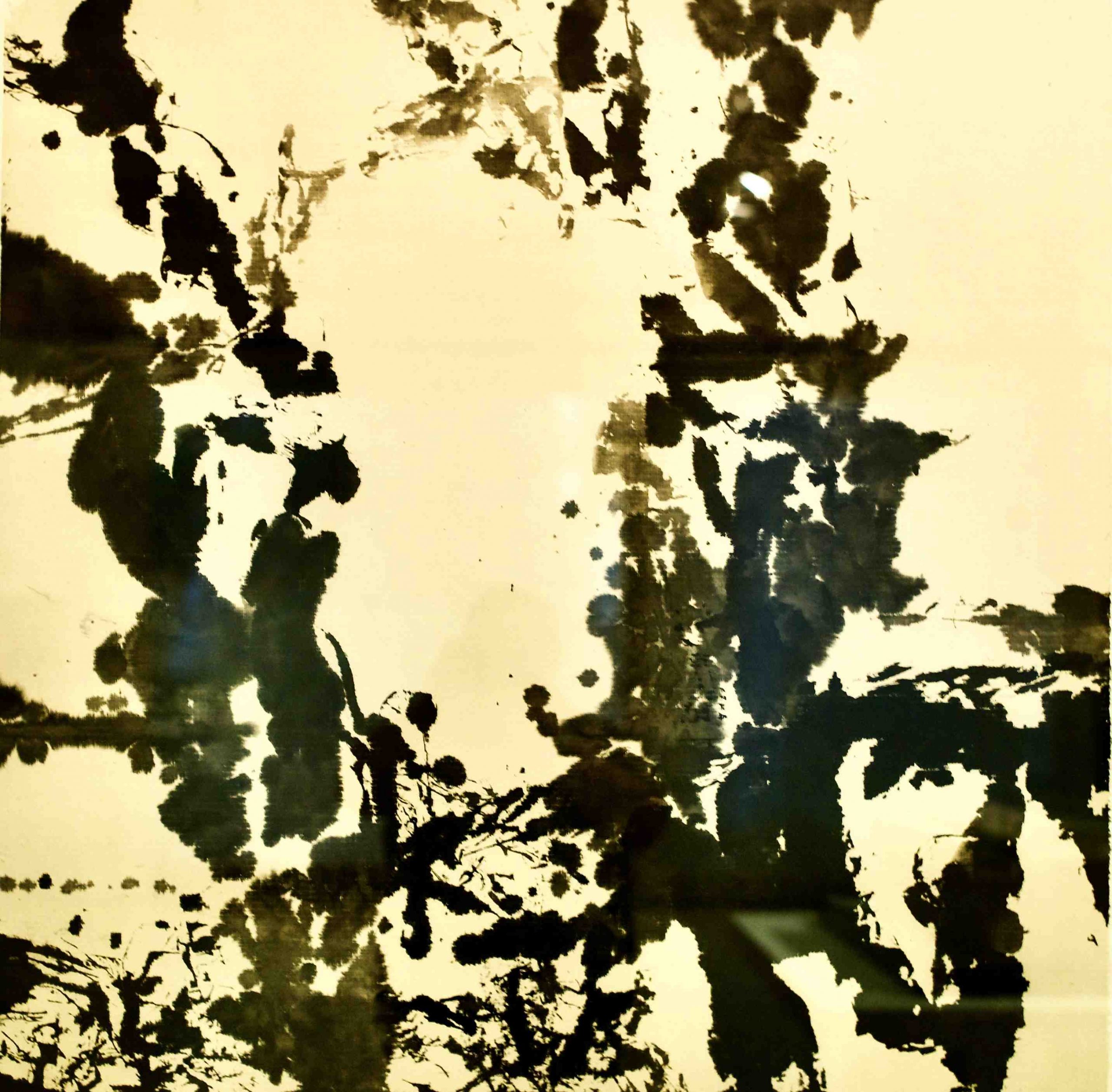 Quelle est la langue parlée à Ibiza ?