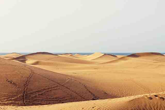 Quelle est la meilleure période pour aller aux Iles Canaries ?