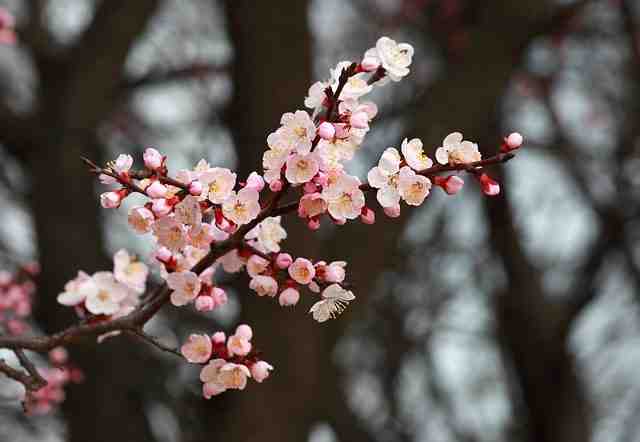 Quelle est la plus belle partie de Majorque ?