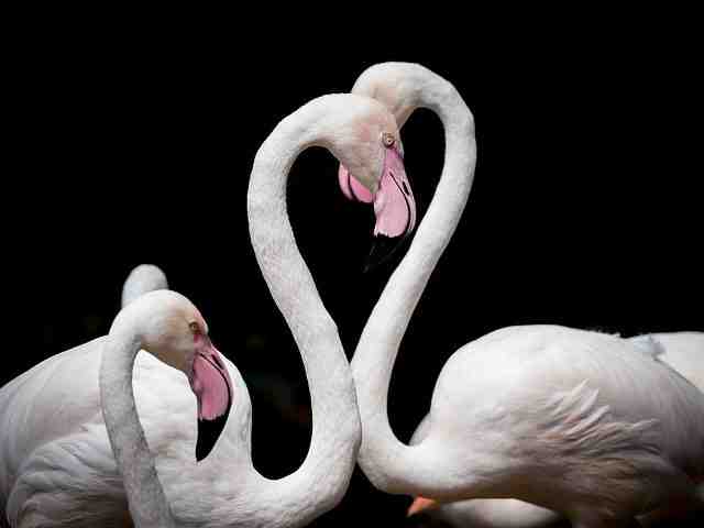 Quelle est la plus belle plage du monde ?