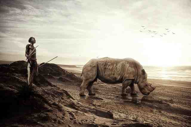 Quelle île est la moins chère ?