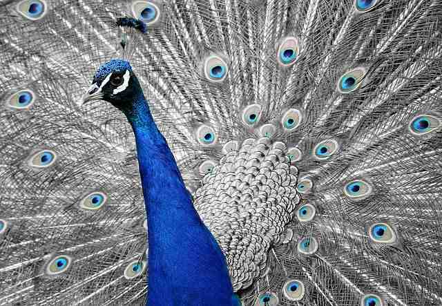 Quelle île paradisiaque choisir ?