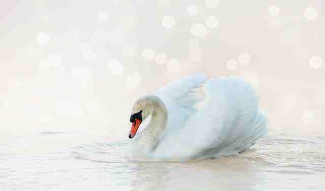 Quelles sont les plus belles îles du monde ?